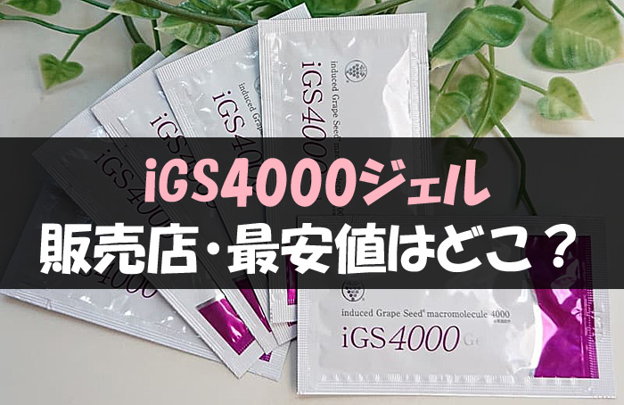 iGS4000 販売店